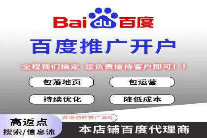 SEM代运营机构成功案例：优化策略与效果分析